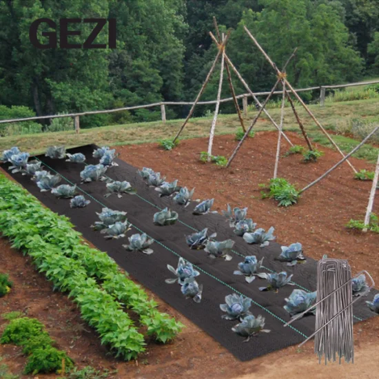 Serra a tunnel, giardino, diserbo, copertura del terreno, agricoltura, membrana robusta, pellicola per pacciamatura paesaggistica, tessuto non tessuto