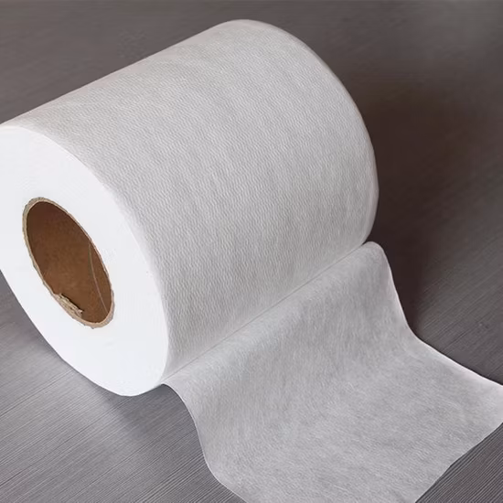 Tessuto non tessuto biodegradabile in spunbond al 100% PP per tessuti domestici per uso agricolo